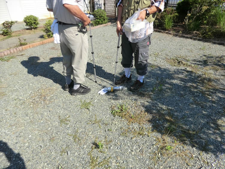 Monitoring on the land